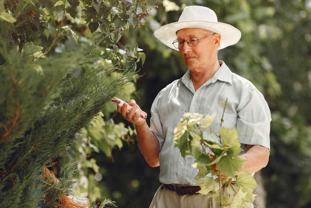 portrait-of-senior-man-in-a-hat-gardening-2024-12-06-10-29-13-utc